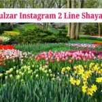 Gulzar Instagram 2 Line Shayari