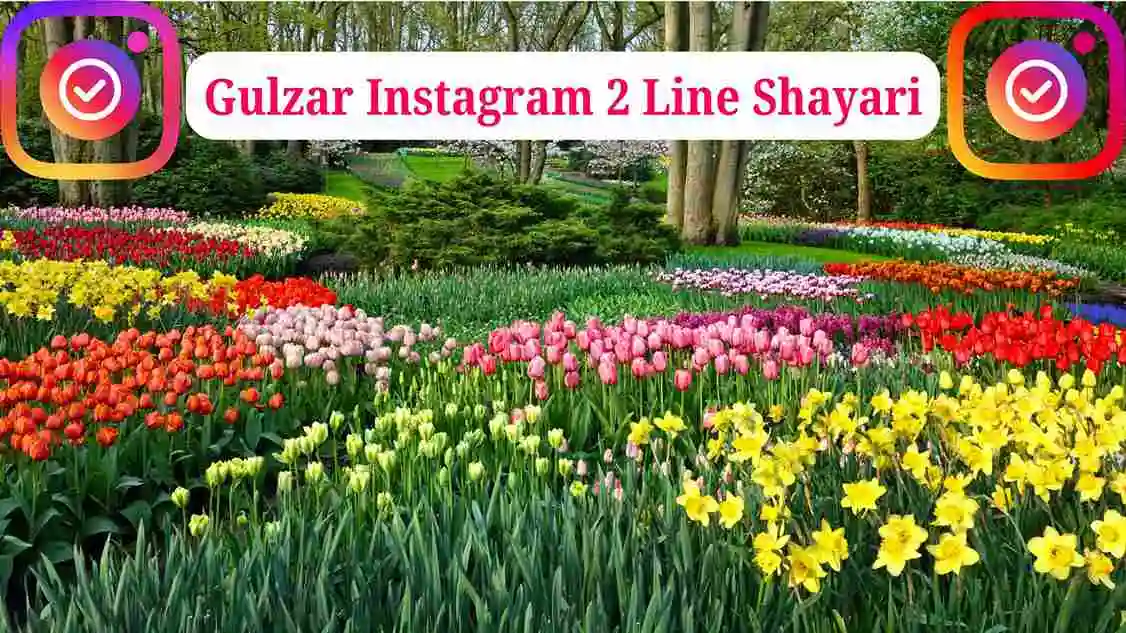 Gulzar Instagram 2 Line Shayari